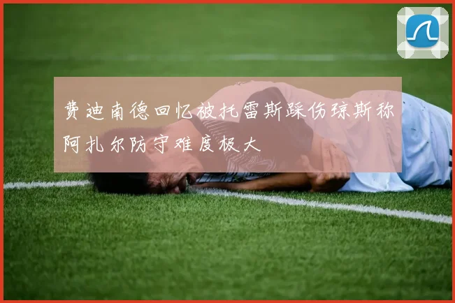 费迪南德回忆被托雷斯踩伤琼斯称阿扎尔防守难度极大