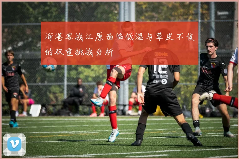 海港客战江原面临低温与草皮不佳的双重挑战分析
