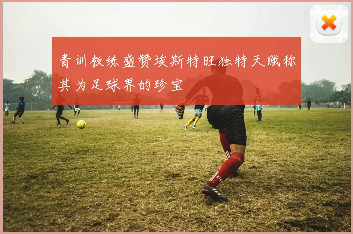 青训教练盛赞埃斯特旺独特天赋称其为足球界的珍宝