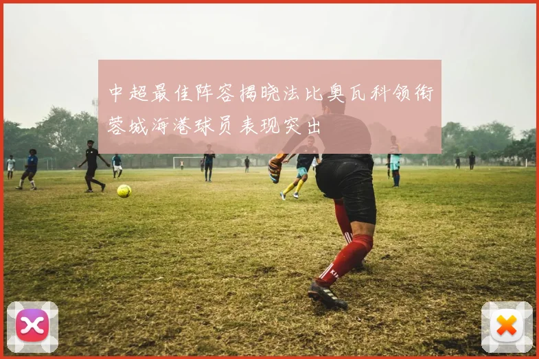 中超最佳阵容揭晓法比奥瓦科领衔蓉城海港球员表现突出